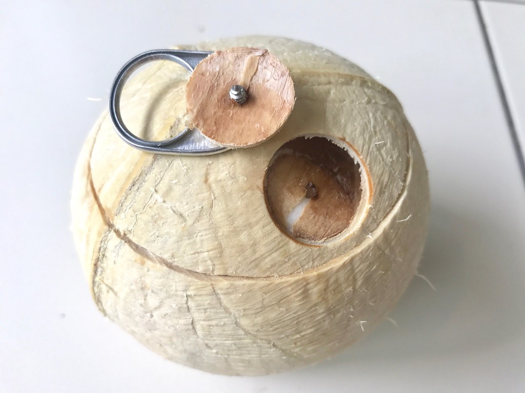 Coconut with tab 2