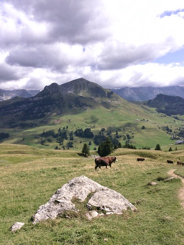 montagne mountain alpes alps tourdujalouvre france hautesavoie nature landscape panorama pierres stones vache cow