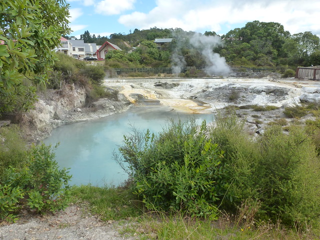 Descubriendo el olor de Rotorua - NUEVA ZELANDA. POR LA TIERRA DE LA LARGA NUBE BLANCA (21)