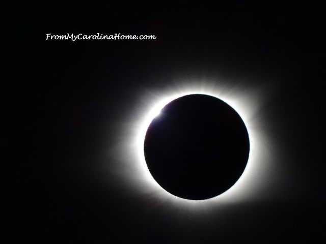 Eclipse 2017 at From My Carolina Home