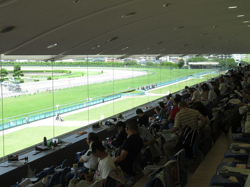 小倉競馬場の３階一般席からの眺望