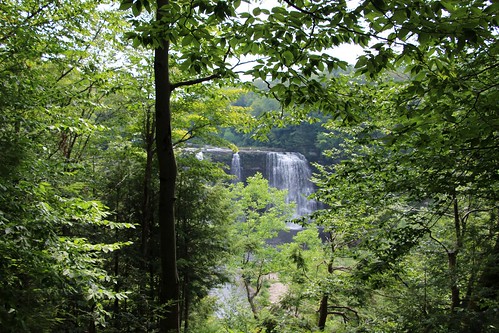 usa new york state salmon river falls attraction nature forest trail