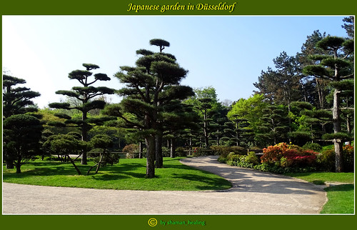 japanischergarten japanesegardenindüsseldorf garten garden natur nature farben colors landschaft landscape düsseldorf