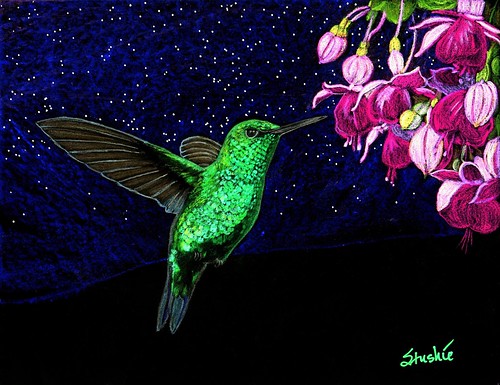 Green Crowned Hummingbird