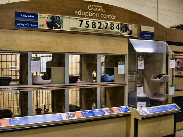 Petsmart Adoption Center