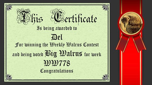 WW777_Winner Certificate