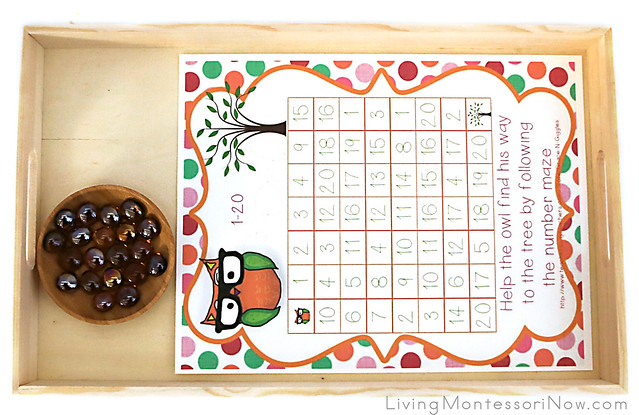 Owl Number Maze Tray