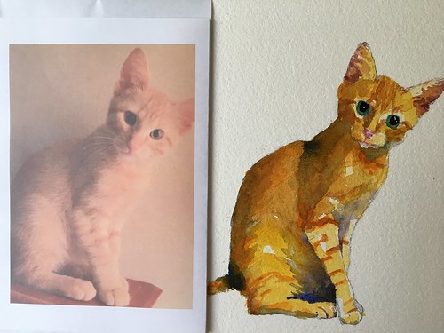 Step by step watercolor kitty