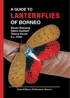 A Guide to Lanternflies of Borneo