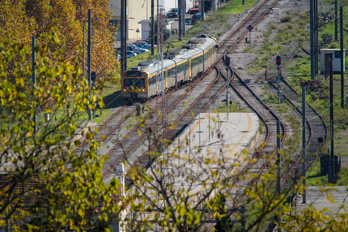 dandangler tomar portugal europe travel autumn sunny sunshine outdoors outside train railroad traintracks trainstation foliage scenic landscape leaves adventure