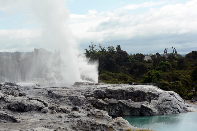 Descubriendo el olor de Rotorua - NUEVA ZELANDA. POR LA TIERRA DE LA LARGA NUBE BLANCA (27)