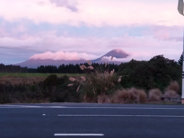 NUEVA ZELANDA. POR LA TIERRA DE LA LARGA NUBE BLANCA - Blogs de Nueva Zelanda - De camino a Tongariro NP: Waiotapu, Aratiatia Rapids, Orakei Korako, Huka Fall (9)