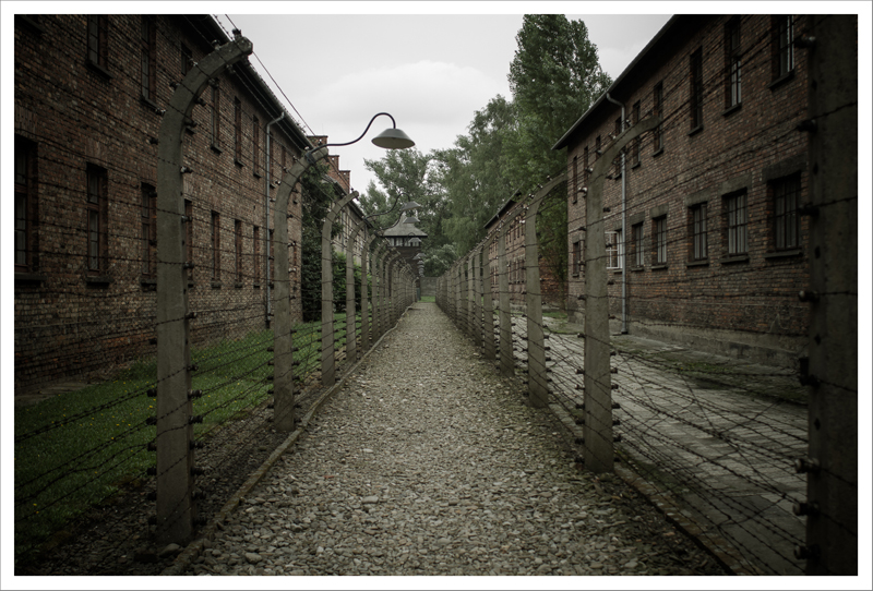 Auschwitz-39