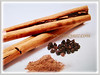 Cinnamomum verum (Cinnamon, True Cinnamon, Ceylon/Cassia Cinnamon, Cinnamon Bark Tree, Kayu Manis in Malay)