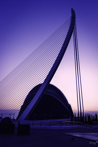 valencia sky sunset sunrise amanecer blue bluehour ciudaddelasartes 7dwf canon600d ancoay lineas lines arquitectura architecture buildings contraluz backlighting