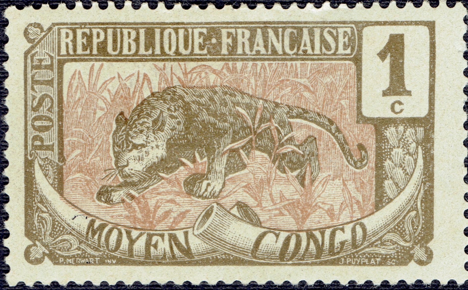 Middle Congo #1 (1907)
