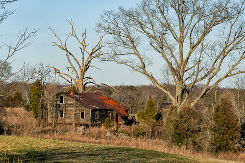 canon rebel xt 70300mm lens upstate south carolina rural country roads farm home southern pastoral vanishing vintage nostalgia scenic rustic america usa yard field outdoor building cabin oak trees winter cedar tin roof southernlife
