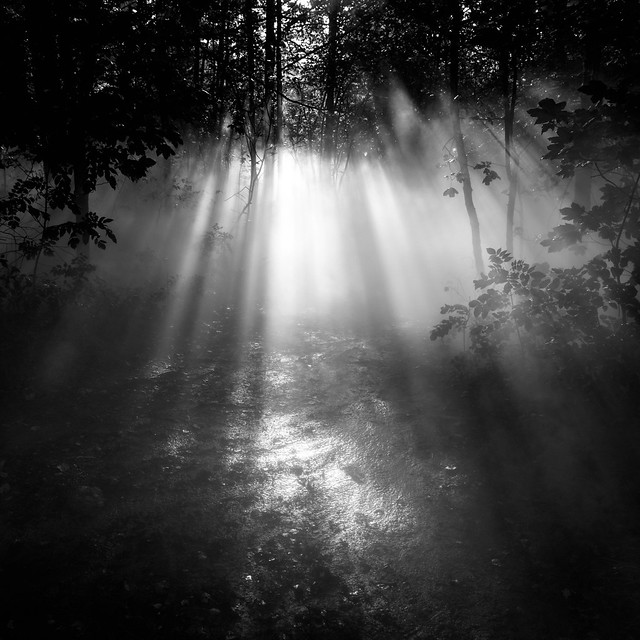 Fotografías digitales en blanco y negro de Svein Skjåk Nordrum