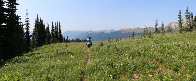 High meadow on the Middle Ridge Trail, with Plummer Mountain on the far right