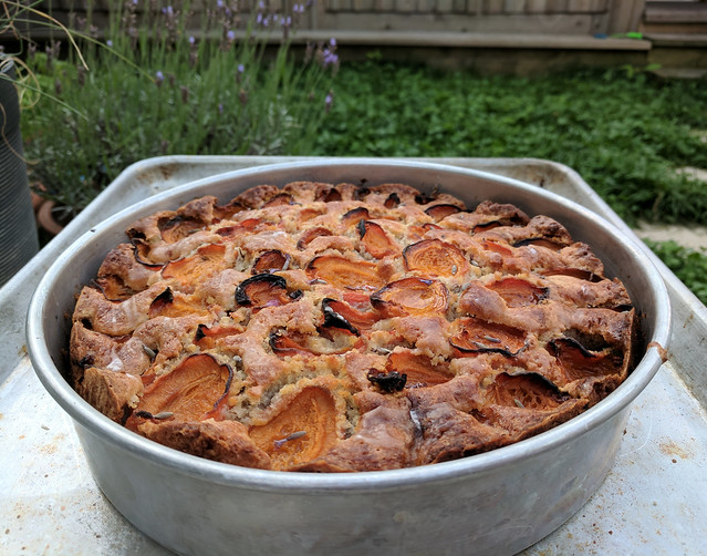 Apricot, Walnut, and Lavender Cake