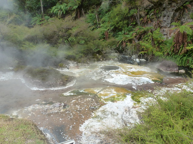 NUEVA ZELANDA. POR LA TIERRA DE LA LARGA NUBE BLANCA - Blogs de Nueva Zelanda - Valle volcánico de Waimangu (15)