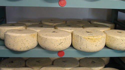 Northumberland Cheese Company Sept 17 (16)