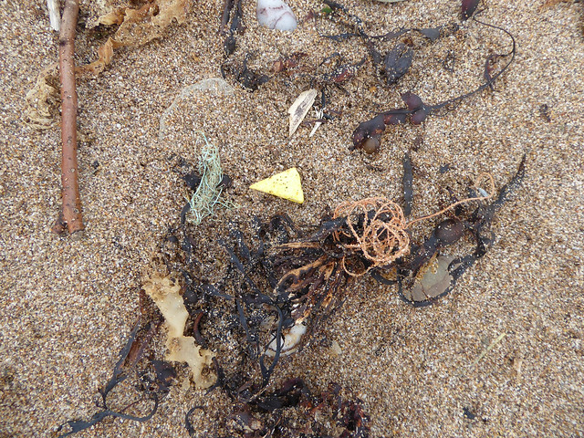 Plastic beach waste at Leas Foot Sands 2