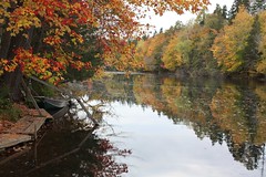 Autumn Reflections 1