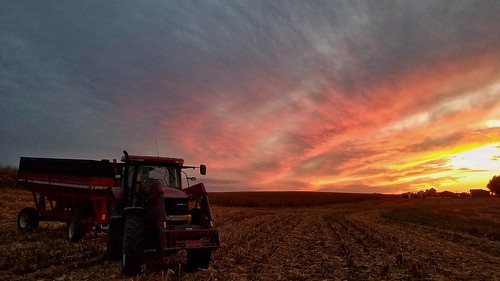 harvest field country rural corn tractor wagon case clouds farm agriculture rain drought fall fiery farmmachinery fallharvest illinois midwest