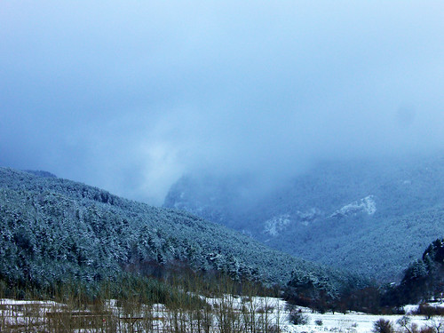 fog bursa green mountain montana way turkey turquia türkiye winter aroundtheworldinpicture adayontheroad
