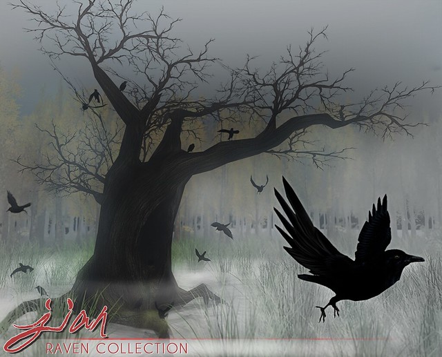 JIAN Raven Collection (Salem '17)
