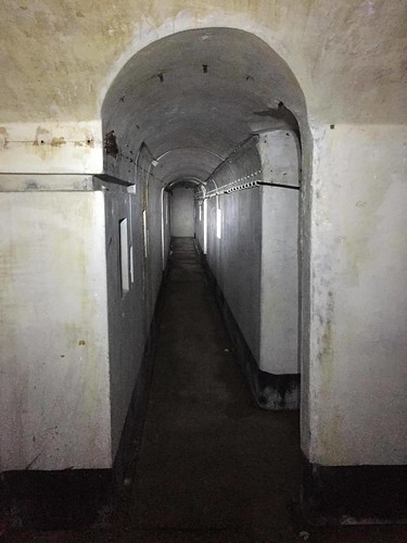 Bunker Portis