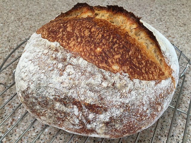 Basic Country Loaf