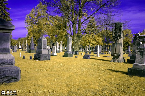 michigan infrared ir ultrablue falsecolor graveyard cemetary tombstones trees october 2017 juannonly outdoor landscape