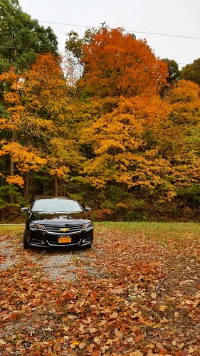 chevrolet chevy impala pitstop foliage fall colors car leaves leaf nature brown forest