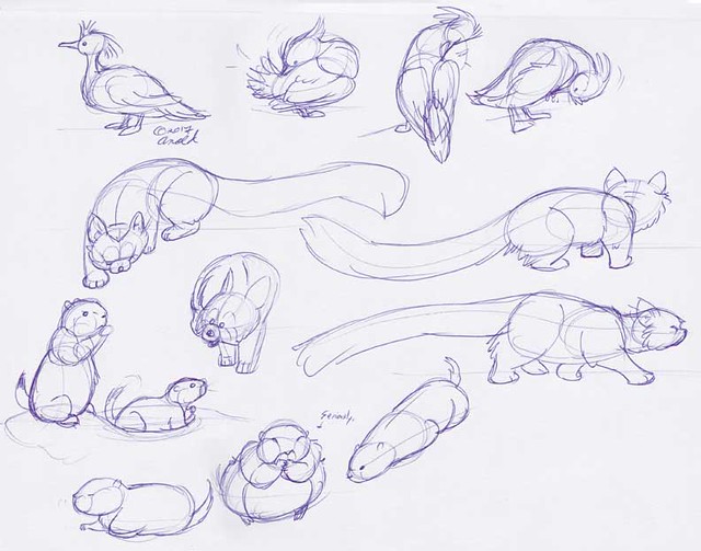 10.6.17 - Franklin Park Zoo Sketches