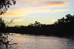 Sunset - Swan River at Guildford