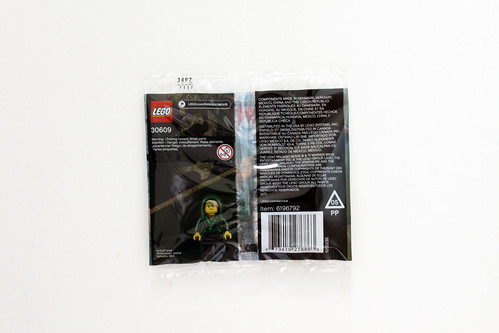 The LEGO Ninjago Movie Lloyd (30609)