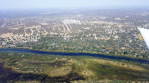 aerial botswana maun river