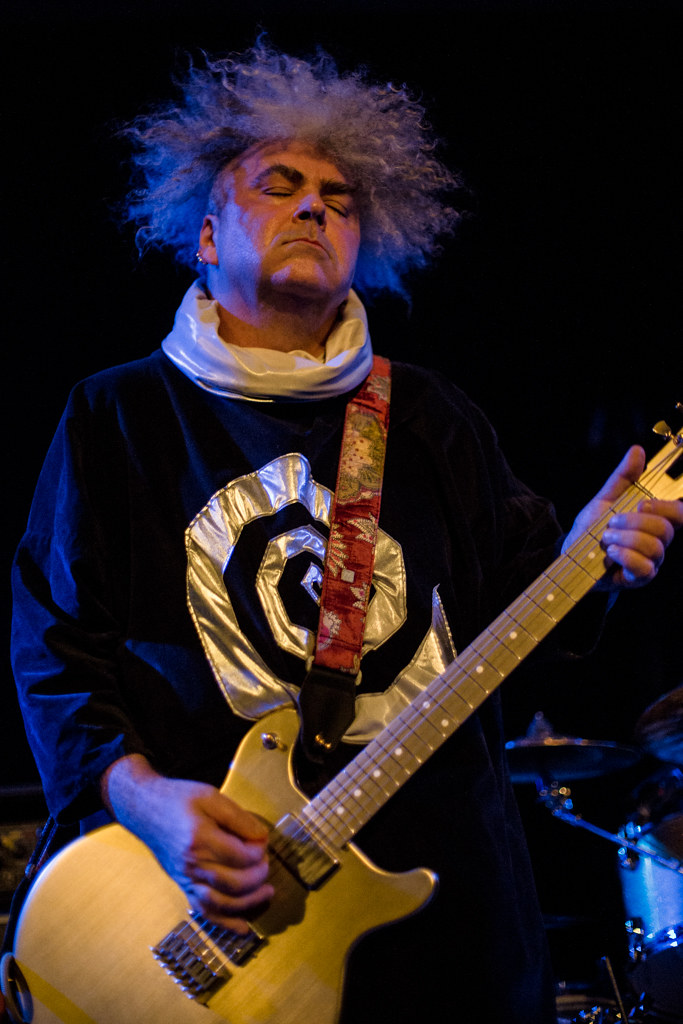 the melvins