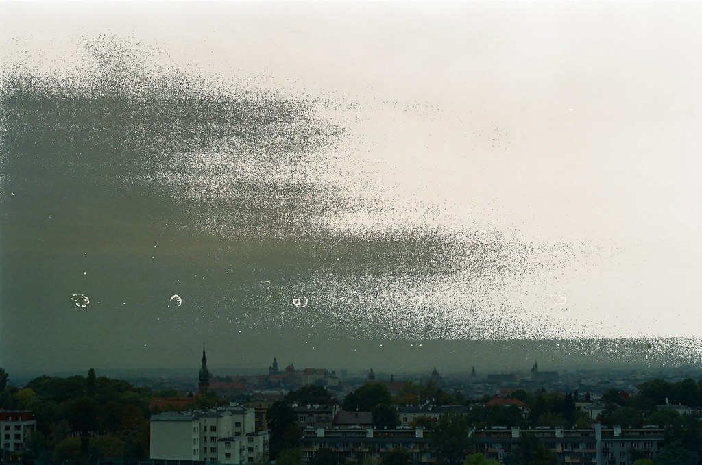 view distracted - Kraków