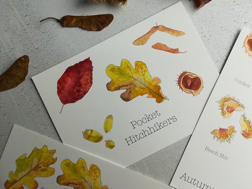 Postcard set inspired by the little treasures left in our pockets after walking in Autumn. Artist Angela Hennessy