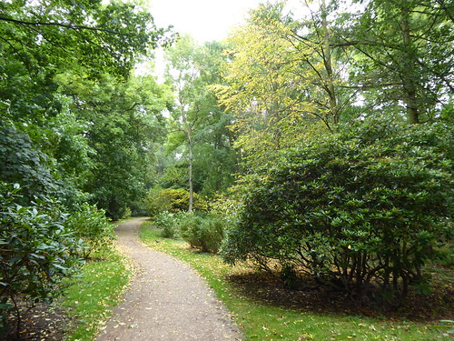 Attingham Park in Autumn