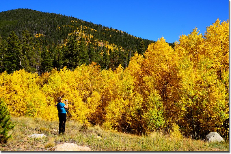 Fall colors, Guanella Pass, Colorado (37)