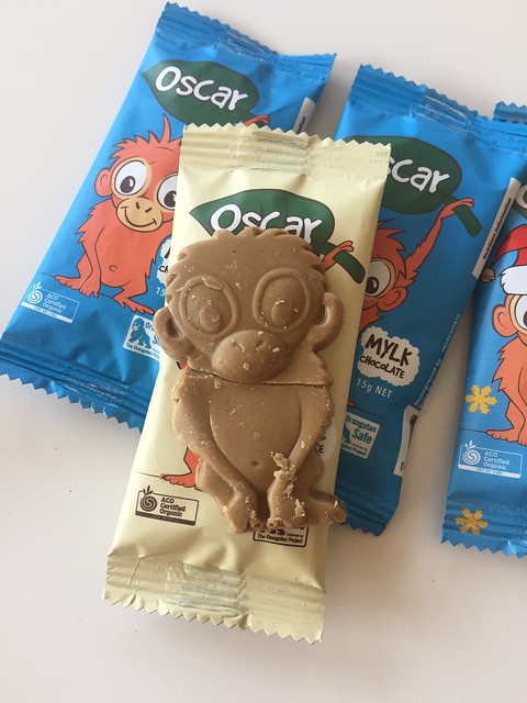 The Chocolate Yogi Oscar IMG_4513