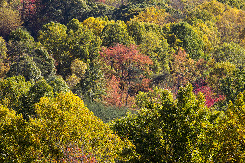 maryland westernmaryland autumn fallfoliage seidlinghill canon