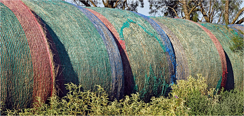 anamorphic cinemascope d60 hayroll iscorama isco newcastle nikkorh85mm nikon rural farm youngcounty texas hay