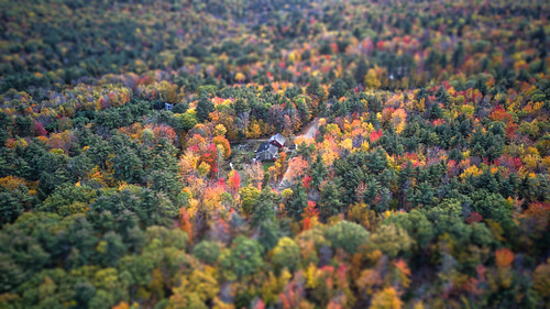 maine denmark charles linden aerial drone rural trees lindesign