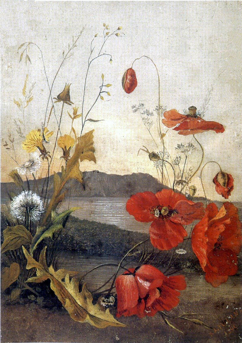 'Poppies', an oil on canvas painting by Princess Ka'iulani, 1890