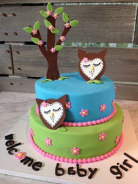 Owl Cake from Sweets by Amylew